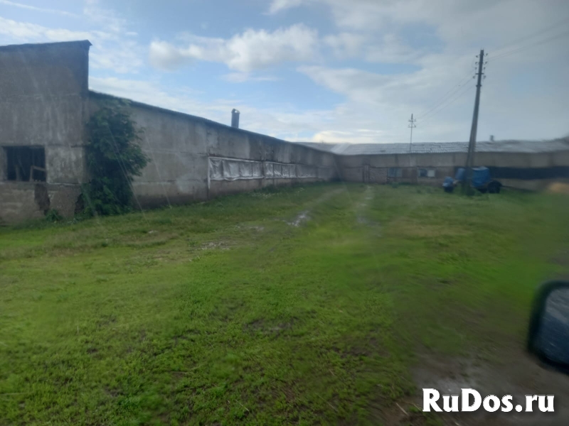 Продажа фермерского хозяйства изображение 4