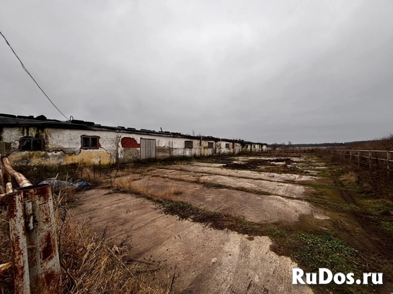 Сдам коммерческую недвижимость 1050 м2 изображение 8