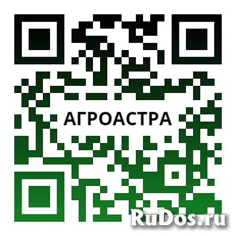 Семена  гибридов  подсолнечника  Байер купить фотка