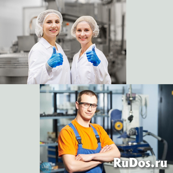 Упаковщик (цы) на птицефабрику с проживанием и питанием изображение 3