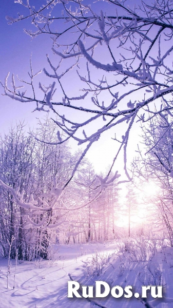 Разработчик новых бестопливных систем. изображение 4