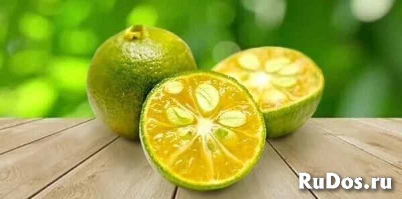 Пюре Каламанси, заморозка, Вьетнам. фото