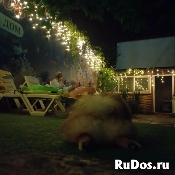 Гостевой дом Любовь - комфортабельный отдых на берегу Черного моря фото