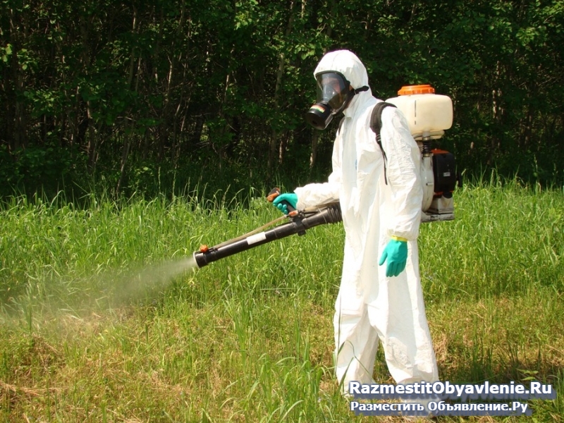 Обработка от комаров участка Орехово-Зуево фотка