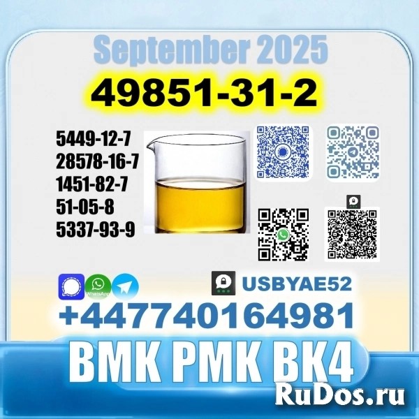 49851-31-2 bvf bmk pmk bk4 2b4m premium factory safe delivery изображение 5