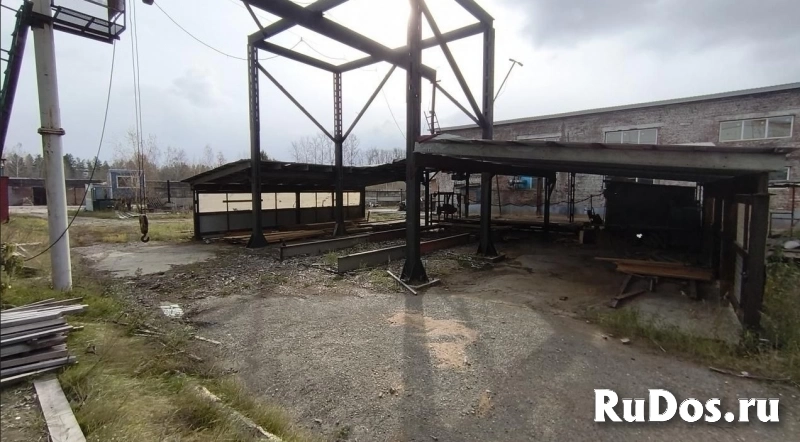 Сдам в аренду пилораму углопил с оборудованой и охраняемой территорией изображение 6