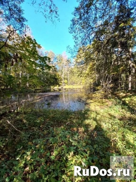 Продам коммерческую недвижимость 100 сот изображение 6