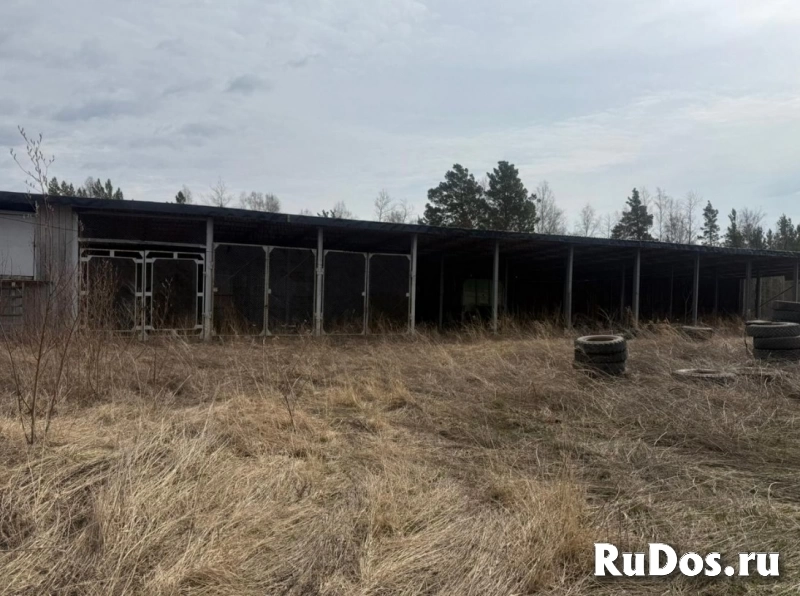 Ферма / Конюшня / Эко-хозяйство изображение 10