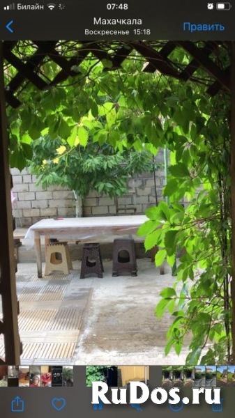 Сдаётся Дача на берегу Каспия изображение 10