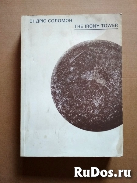 книга Эндрю Соломон The Irony Tower. Советские художники во времена гласности изображение 6