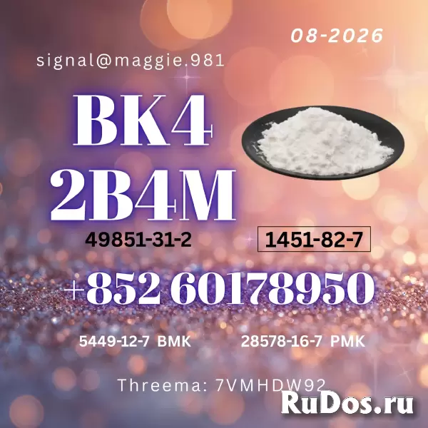 CAS 1451-82-7 bk4 Professional export experience изображение 7