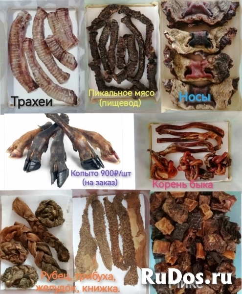 Лакомство для животных фото