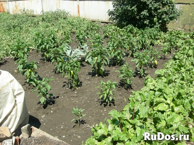 Дом, 66 м² изображение 6