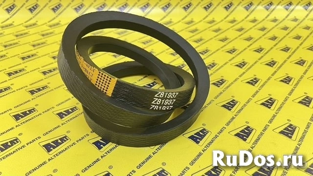 Ремень OEM Z81937 изображение 5