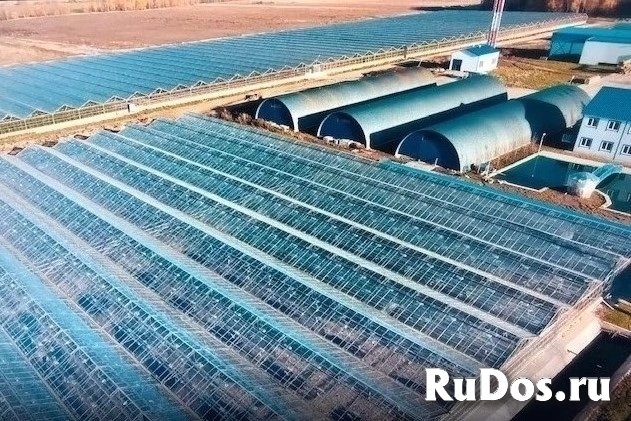 Сдам коммерческую недвижимость 1080 м2 изображение 4