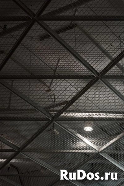 Потолочные панели из сетки ЦПВС фотка