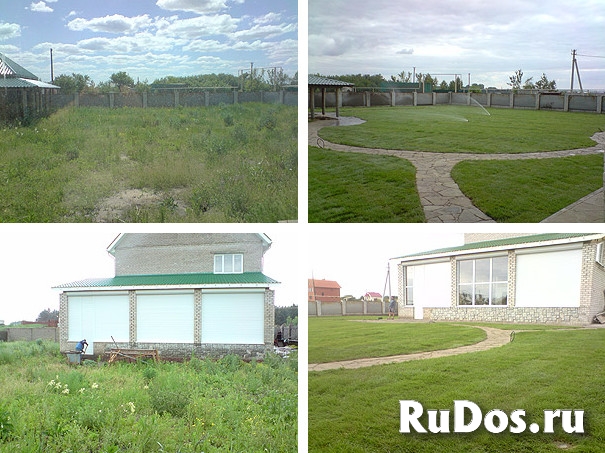 Газон рулонный и посевной Воронеж посадка фото