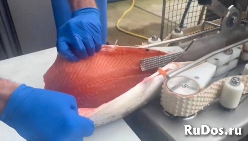 Филетировочная машина Carnitech CT2611 изображение 10