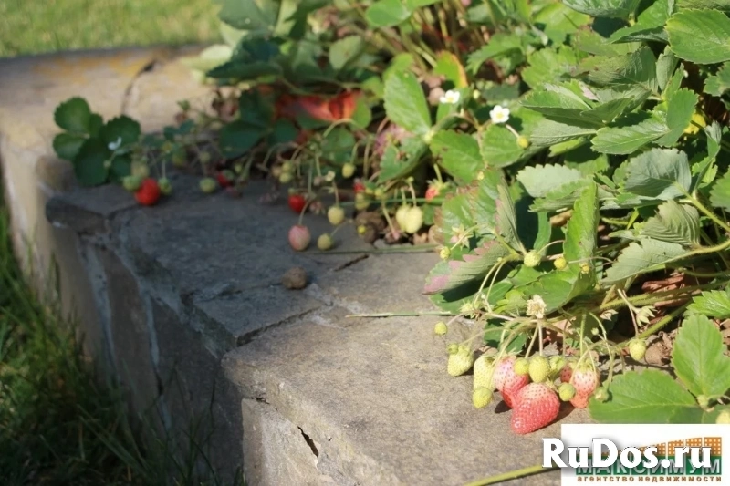 Продам коттедж 349 м2 изображение 7