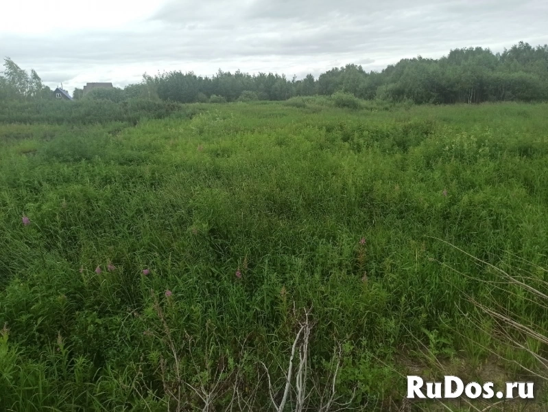 Продам 10 соток по Салаирскому тракту СНТ Строитель изображение 3