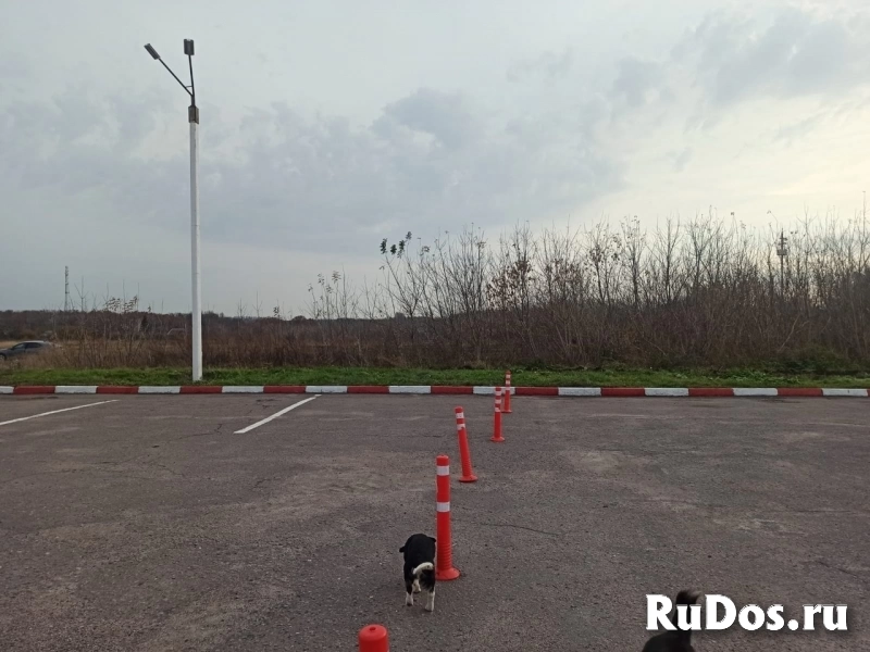 Коммерческий участок в Обоянском районе изображение 7