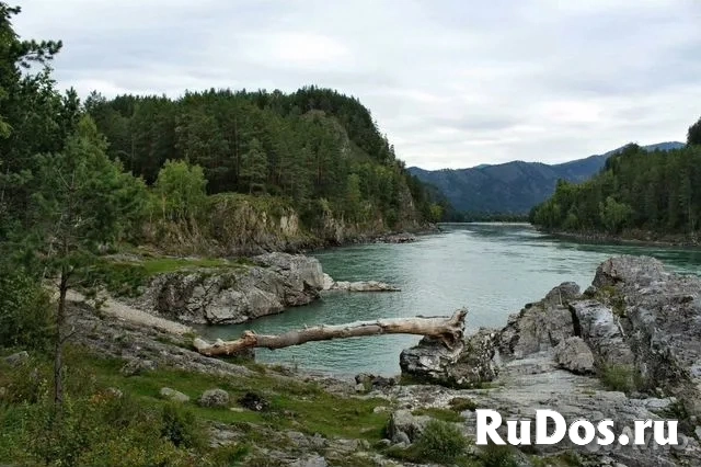 Незабываемый Ретрит на Алтае "Гармония Жизни" 2024 изображение 3