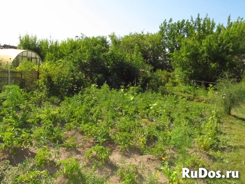 Дача СНТ Весна изображение 8