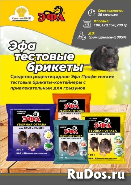 Эфа тестовые брикеты 200г. фото