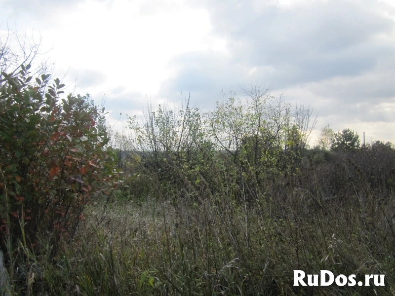 Земельный участок п.Балки СНТ КГСХА-7 изображение 4