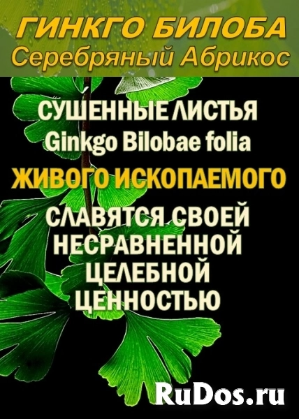 Гидролаты и функциональные купажи ProGynuru — сила тропических растений для здоровья и красоты. изображение 12