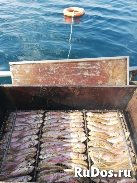 Морские прогулки по черноморскому побережью изображение 3