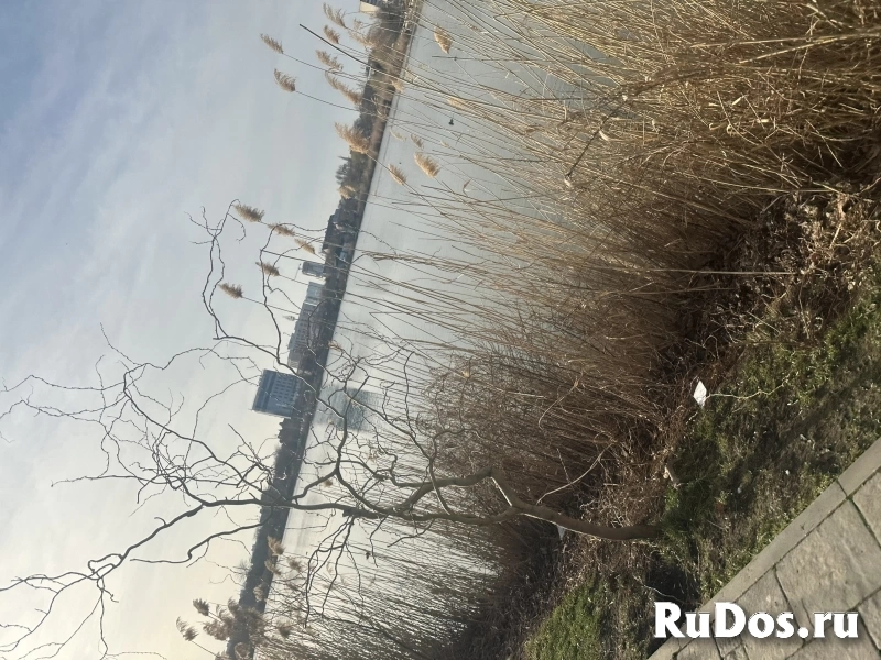 Любовные привороты любой сложности в90%случаев довожу до результата изображение 6