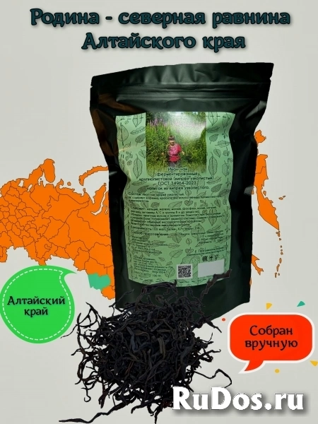 Чай Иван-чай из диких мест Алтайского края изображение 7