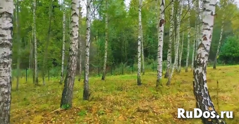 Продам участок 130 сот. изображение 5