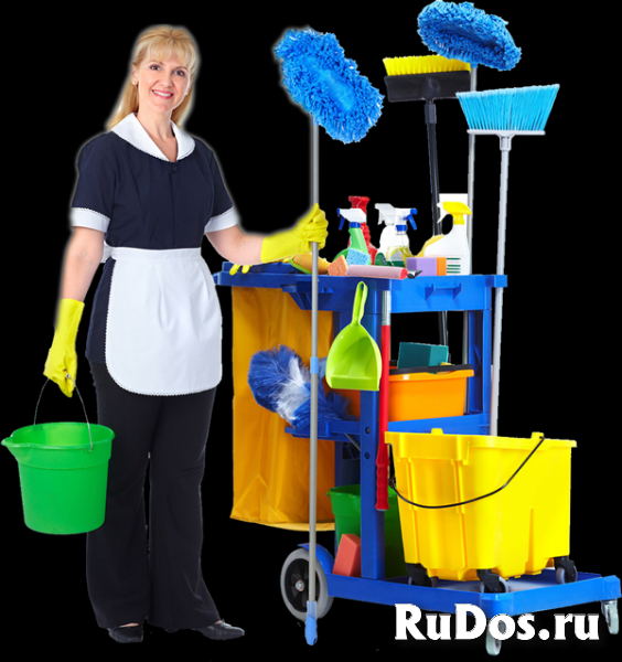Домработница фото