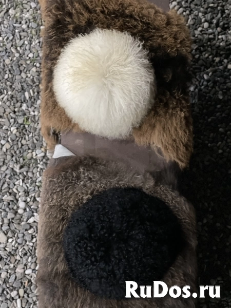 Папаха изображение 9