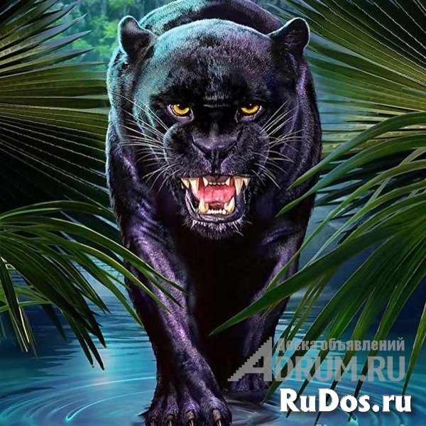 ЧЕРНАЯ МАГИЯ ЧЕРНОЕ ВЕНЧАНИЕ ОДНОПОЛЫЙ СЕКСУАЛЬНЫЙ ПОРЧИ СУЩНОСТИ фото