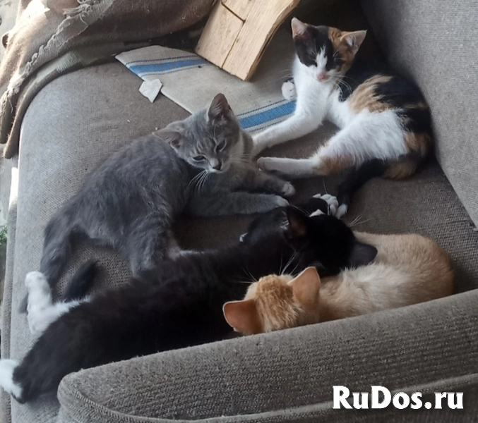 Для добрых людей изображение 3