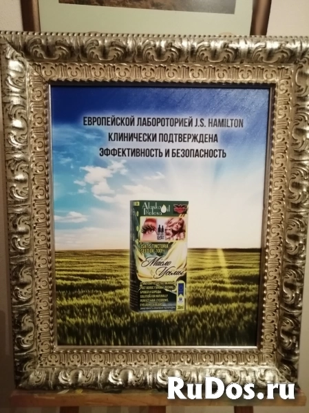 Предлагаем купить Белорусское масло усьмы напрямую от Производите изображение 12