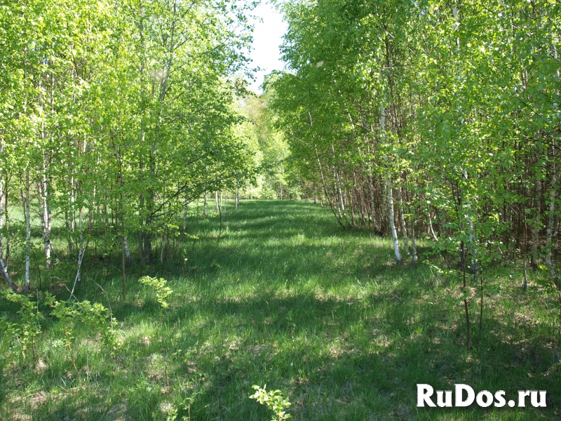 Продаётся земельный участок 40 соток для ИЖС изображение 3