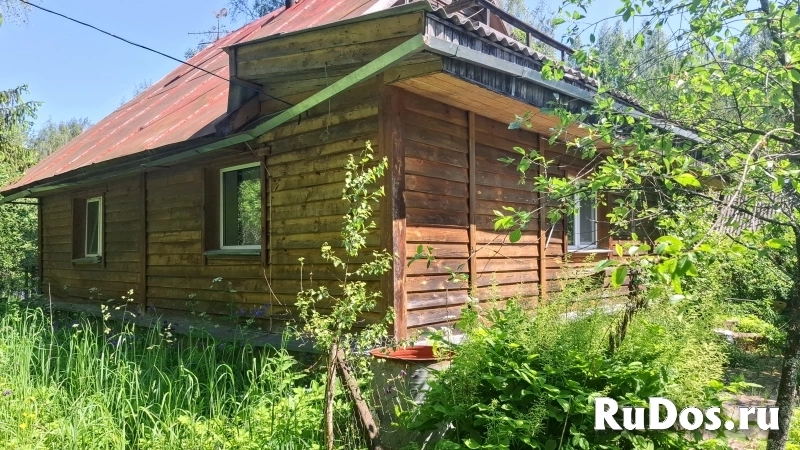 Добротный крепкий дом в лесу на хуторе фото