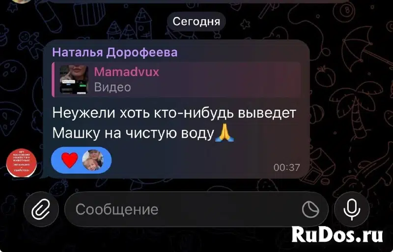 Волонтеры, обязательно к прочтению изображение 10