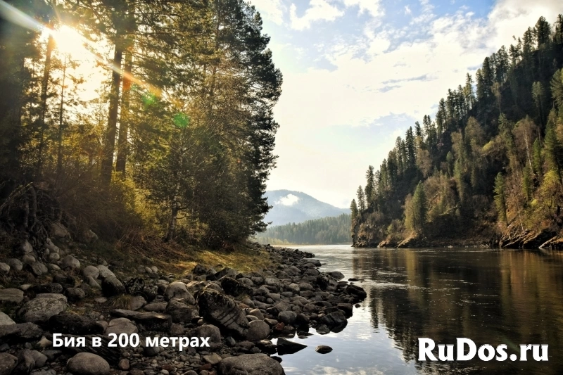 Продаются участки под турбизнес на Алтае возле Телецкого озера изображение 6