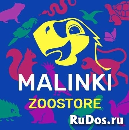 Менеджер по закупкам фото