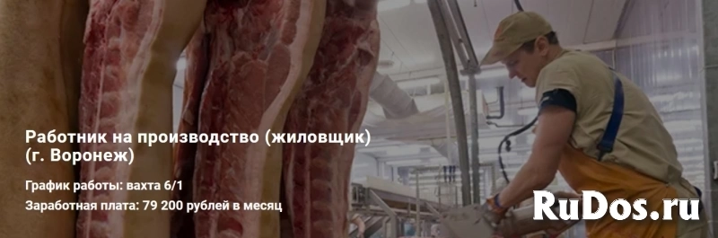 Работник на производство (жиловщик) г. Воронеж фото