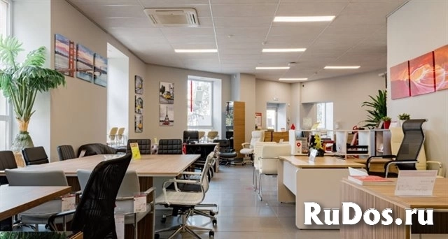 Аренда торговой площади 494 м2 у м. Черная речка изображение 4