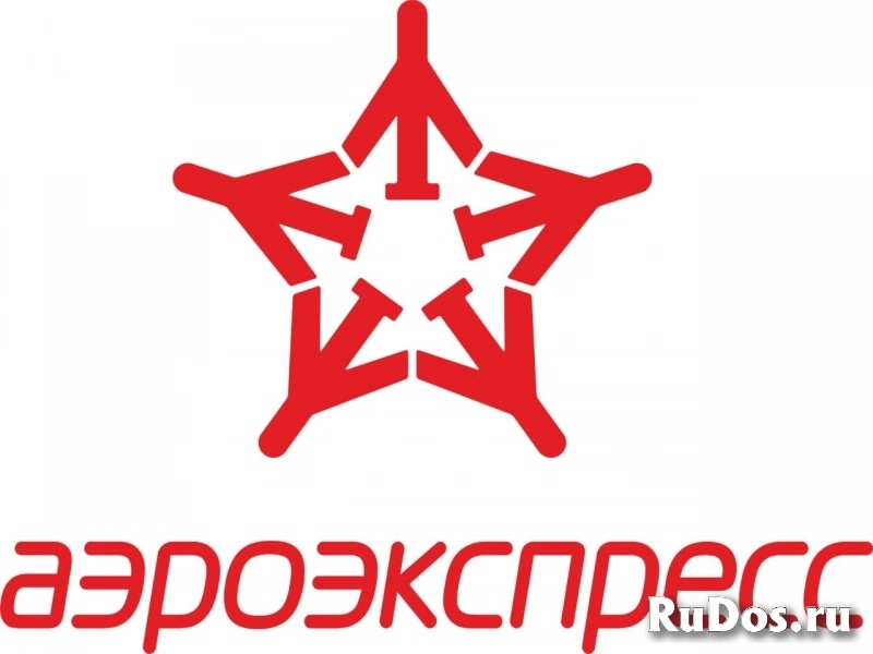 Аэроэкспрес от/до Шереметьево, Домодедово, Внуково фотка