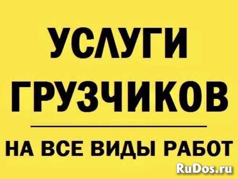 Грузоперевозки. Бригада опытных грузчиков. фотка