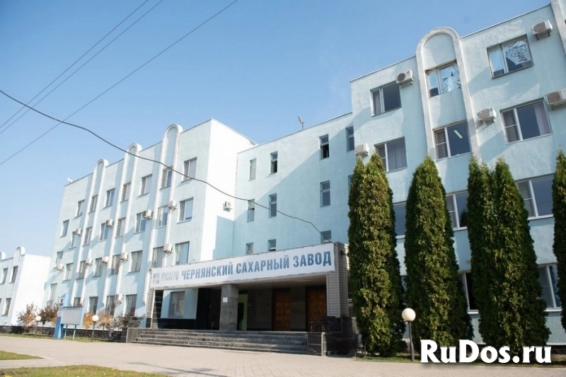 Сахар категории ТС2 оптом от производителя изображение 3