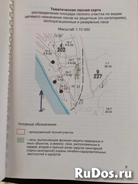 Продам Участок 1 Гектар земли лесного фонда изображение 3